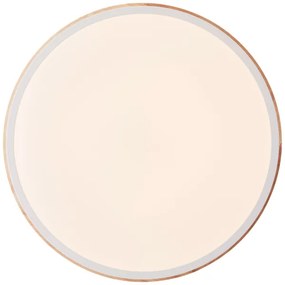 Brilliant - LED St. stropné svietidlo BAARLO LED/24W/230V pr. 35 cm biela