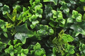 Europe Grass Umelý rastlinný panel MIX VERT 50 x 50 cm - Panel 50x50