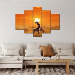 Obraz - Žirafy v národnom parku Serengeti (150x105 cm)