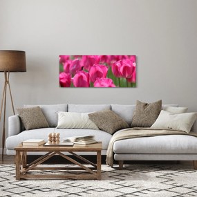 Obraz - Ružové tulipány (120x50 cm)