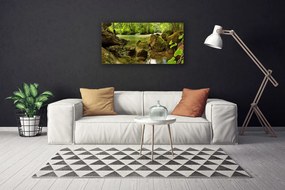 Obraz na plátne Skala jazero príroda 100x50 cm