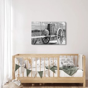 Obraz - Prívesný vozík, čiernobiela (90x60 cm)
