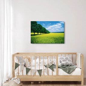 Obraz poľa s alejou (90x60 cm)