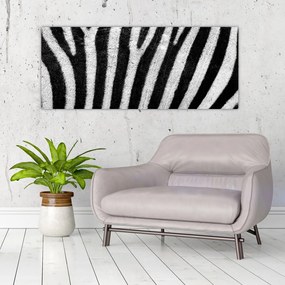 Obraz kože zebry (120x50 cm)