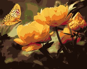 Gario Maľovanie podľa čísel Motýľ s kvetmi Rozmery: 40 x 30 cm, Rámovanie: S vnútorným rámom