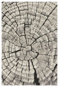 Koberec Frisee Phoenix 1,2/1,7 6021 244