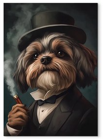 drevko |  Obraz Pán Shih Tzu v klobúku