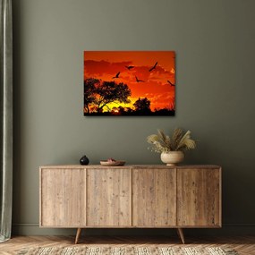 Obraz vtákov pri západe slnka (70x50 cm)