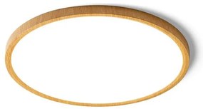 Moderné svietidlo RENDL RED LANA 40 stropné svietidlo CCT R14305