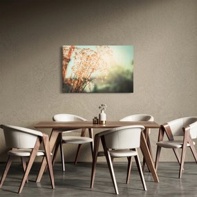 Obraz - Rastliny po daždi (90x60 cm)