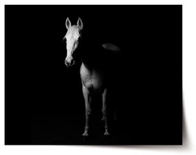 Sablio Plagát Kôň v tieni - 90x60 cm