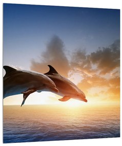 Obraz delfínov (30x30 cm)