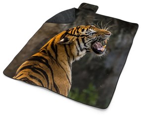 Sablio Plážová deka Revúci tiger: 200x140 cm