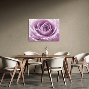 Sklenený obraz detailu kvetu ruže (70x50 cm)