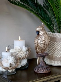 Bronzová dekorácia papagájov na podstavci Parroté - 11*10*28 cm