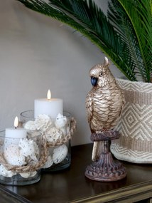 Bronzová dekorácia papagájov na podstavci Parroté - 11*10*28 cm