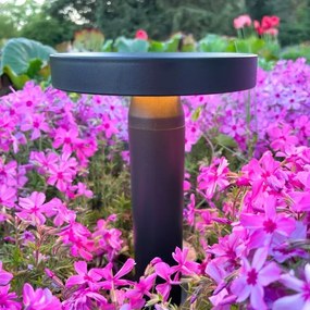 Zuma Line DT33611 - LED Solárna lampa CARLI LED/2W/2000 mAh IP44 čierna