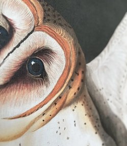 WALLCOLORS Owls wallpaper - tapeta POVRCH: Prowall Eco