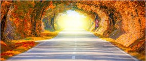 Obraz - Brána z korún stromov (120x50 cm)