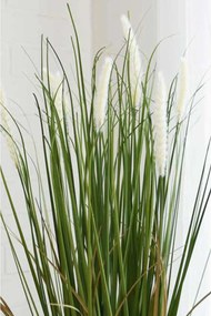 Umelá tráva HERBE, plast, výška 80 cm, zelená