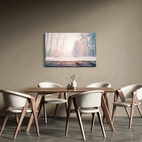 Obraz - Výhľad do lesa (90x60 cm)