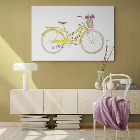 Obraz ilustrácia retro bicykla Varianta: 60x40