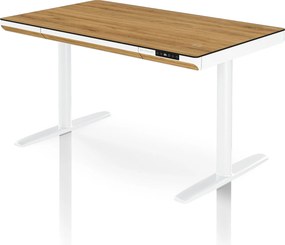 Elektrický písací stôl sit-stand so zásuvkou a bezdrôtovou nabíjačkou Qi biely/zlatý dub, 1200 mm: ELLIS