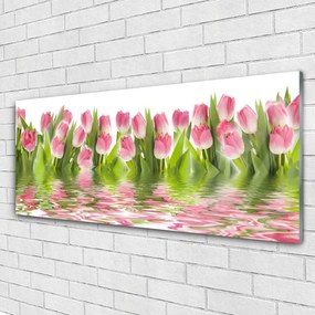 Obraz plexi Tulipány rastlina príroda 125x50 cm