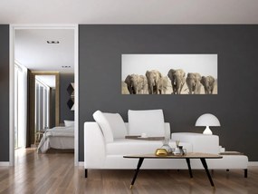 Obraz - Slonie stádo (120x50 cm)
