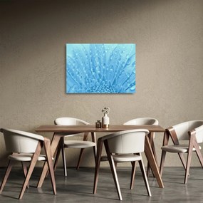 Sklenený obraz - Makro záber kvetu (70x50 cm)