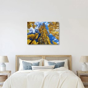 Sklenený obraz - Aspen (70x50 cm)