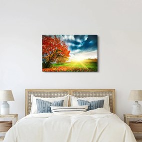 Obraz krajiny zaliate slnečným svitom (90x60 cm)