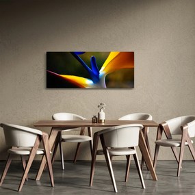 Obraz - Exotický kvet (120x50 cm)