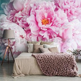 Vliesové fototapety 14586V8, rozmer 368 cm x 254 cm, pivonky ružové, IMPOL TRADE