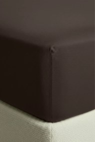 Plachta s gumičkou JERSEY hnedá Rozmer: 90x200x30 cm