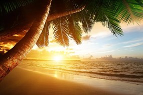 Samolepiaca fototapeta východ slnka na pláži v Karibiku