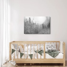 Obraz - Levanduľa (90x60 cm)