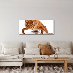Obraz jašterice (120x50 cm)