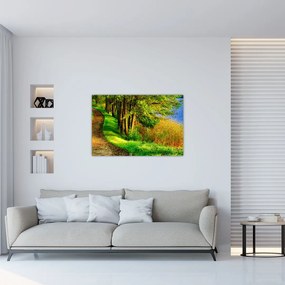 Obraz chodníky pozdĺž vody (90x60 cm)