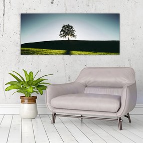 Obraz prírody - strom (120x50 cm)