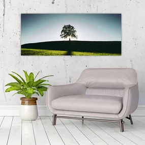 Obraz prírody - strom (120x50 cm)