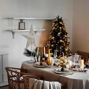 Solight LED vianočná hviezda so stojanom, biela, 45 cm, 10x LED, 2x AA