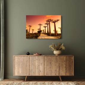 Obraz - Západ slnka v uličke Baobab (90x60 cm)