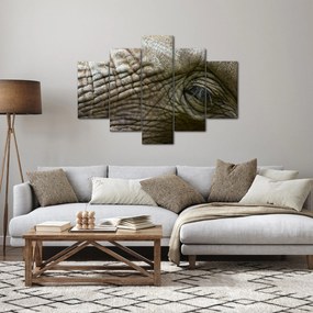 Obraz - Detailné fotografie starého slonieho oka (150x105 cm)