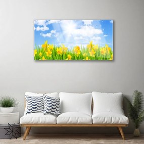 Obraz plexi Narcisy lúka tráva príroda 100x50 cm