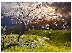 Sklenený obraz - Rozkvitnutý strom v krajine (70x50 cm)