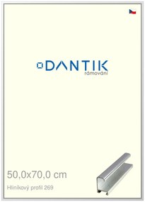 DANTIK rám na obraz 50x70 | ALU Stříbrná lesklá (Plexi Čiré)