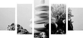5-dielny obraz Zen kamene s mušľami v čiernobielom prevedení - 100x50