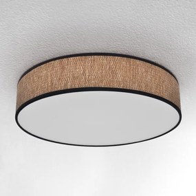 Brilagi - LED Stmievateľné stropné svietidlo ADELA LED/48W/230V 3000-6500K + DO