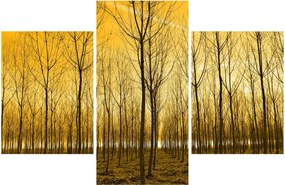 Obraz lesa pri západe slnka (90x60 cm)